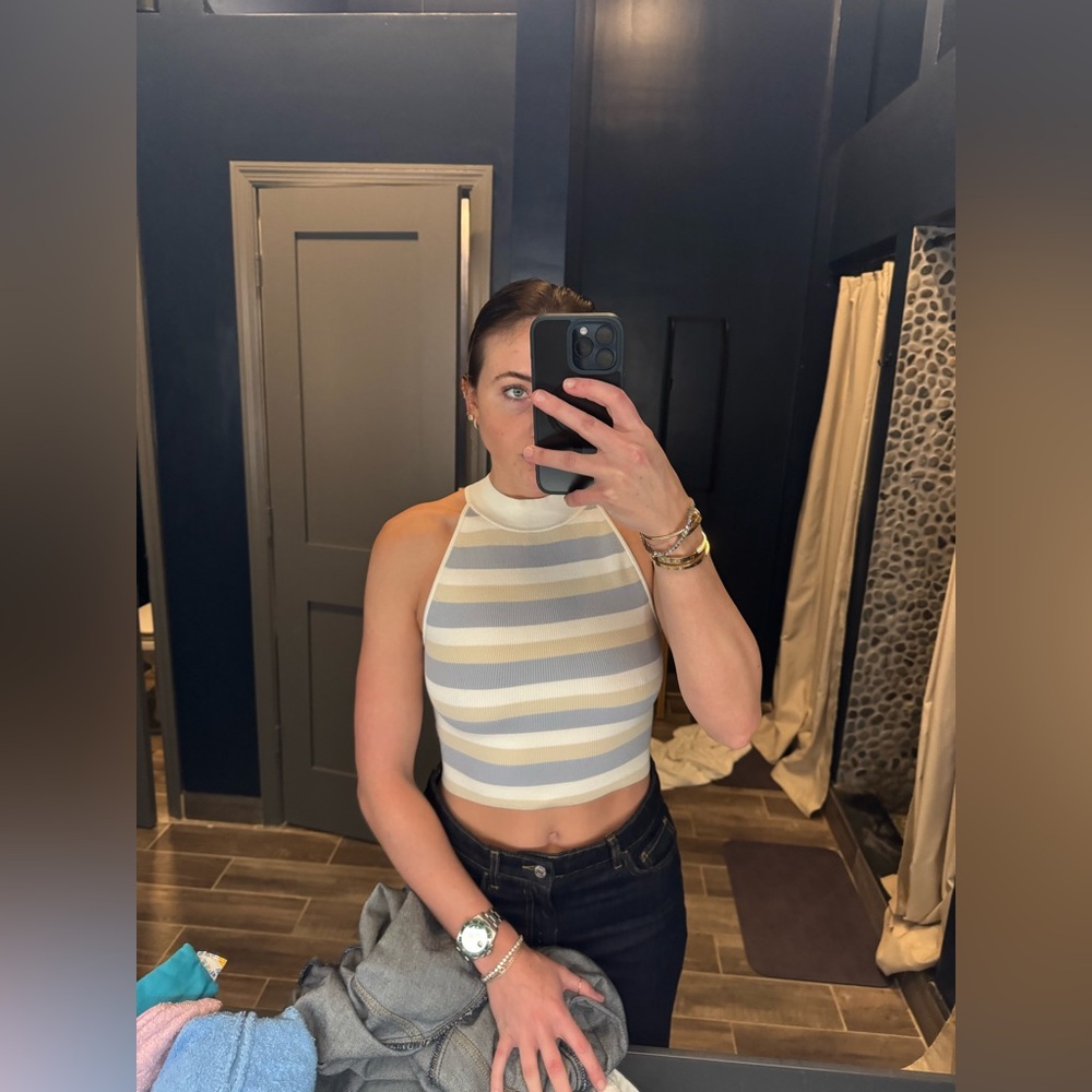 Aritzia Babaton Striped High Neck Top